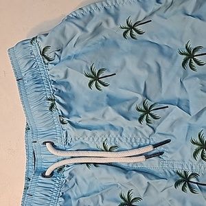 Island Haze Swim Shorts Trunks